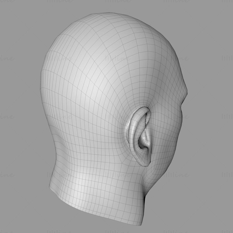 Man head 3d model