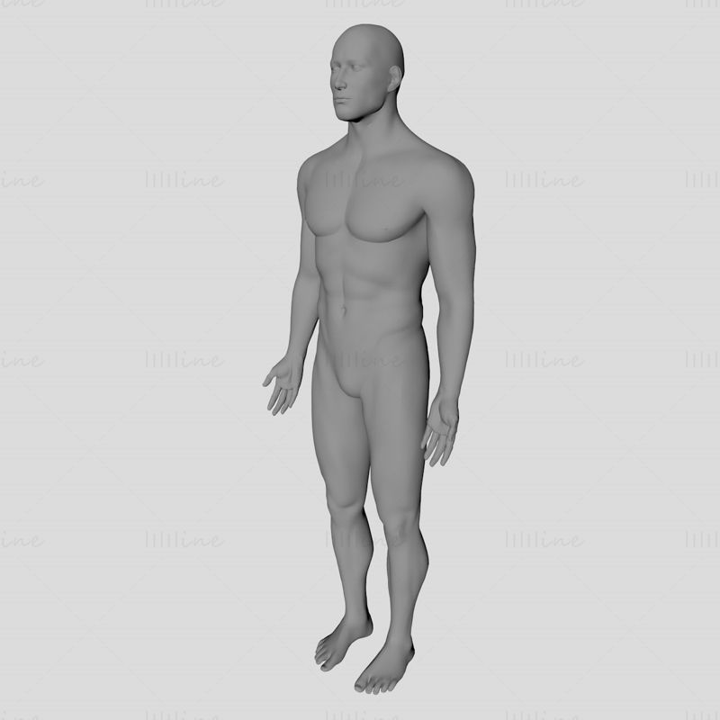 Férfi test 3D-s modell