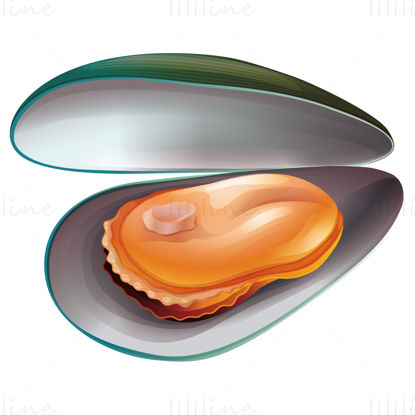Mussels vector