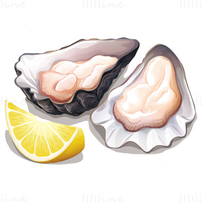 Oysters vector