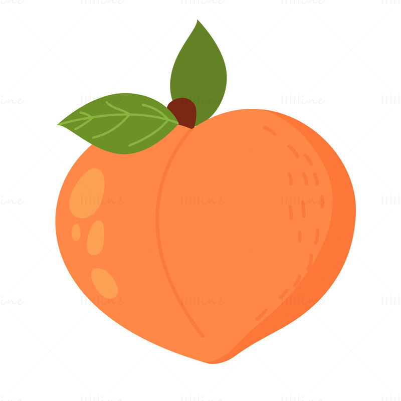 Cartoon peach vector fruit