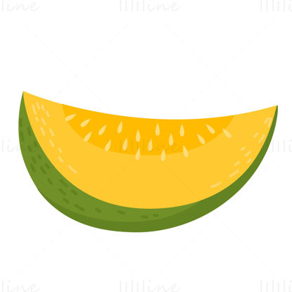 Cartoon cantaloupe vector