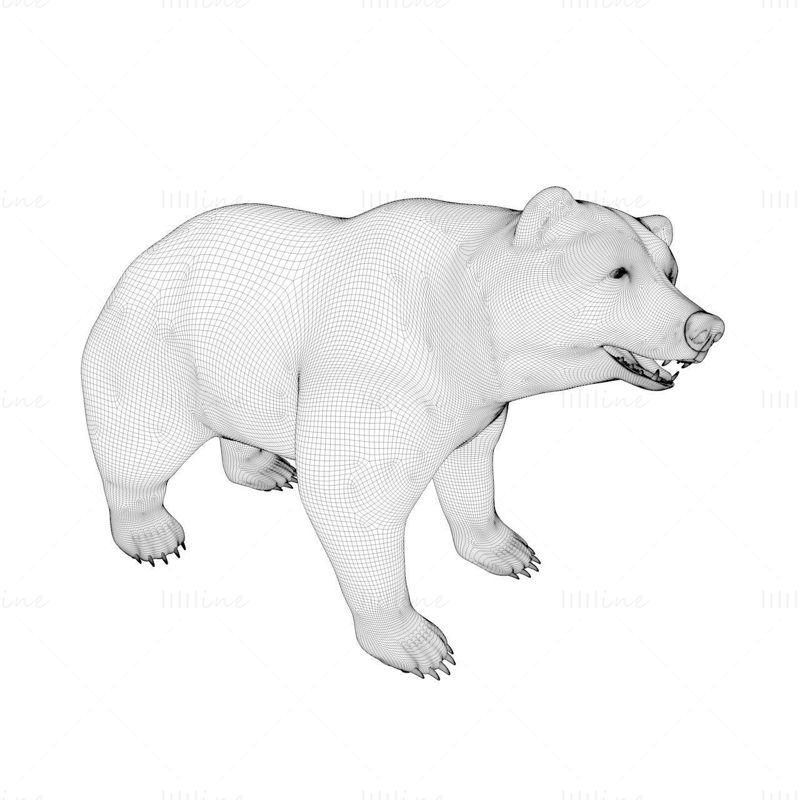 北极熊3d模型