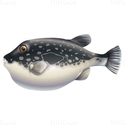 Puffer fish vector