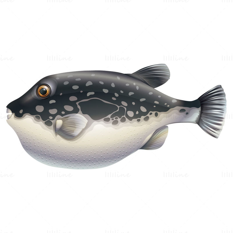 Puffer fish vector