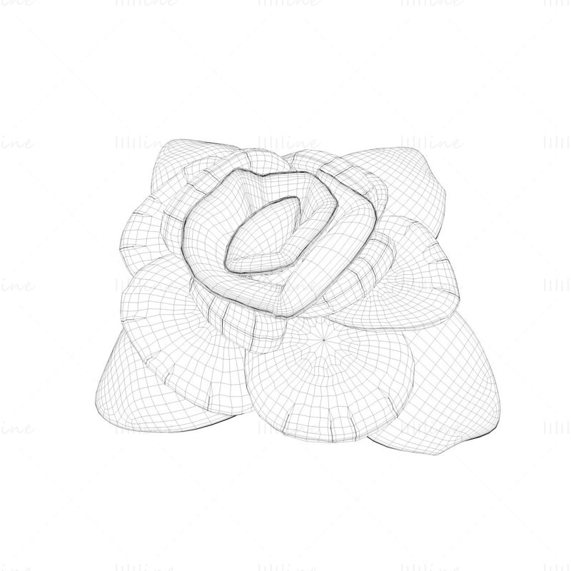Rose shape fabric 3d model