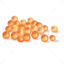 Salmon roe vector
