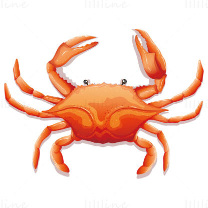Sea crab vector