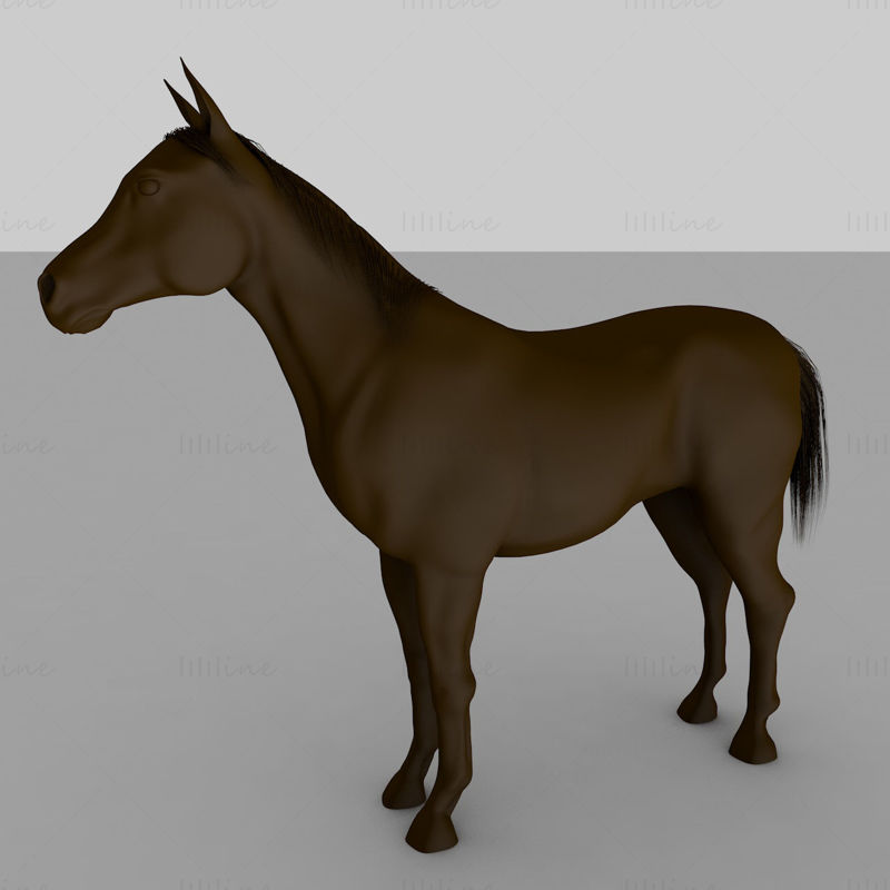 Álló ló 3D-s modell