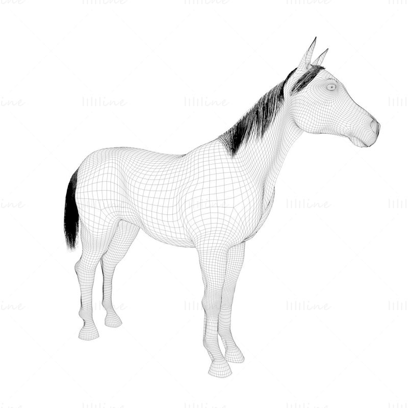 Standing horse 3d model