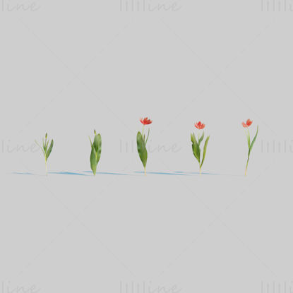 Red Tulip Plant Pack 3D modell