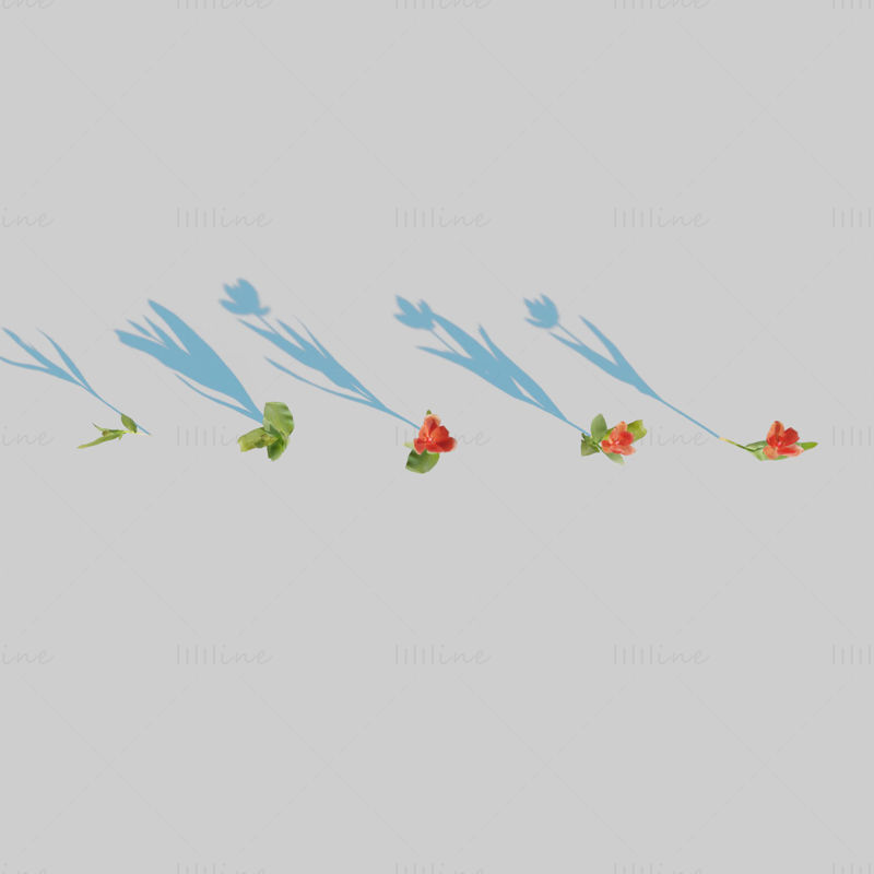 Red Tulip Plant Pack 3D Model