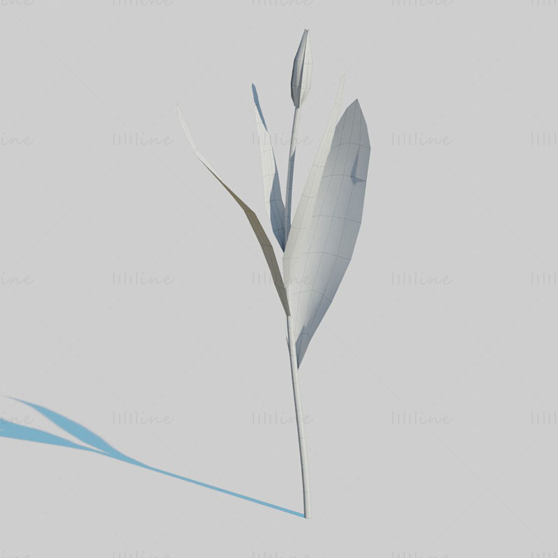 Red Tulip Plant Pack 3D Model