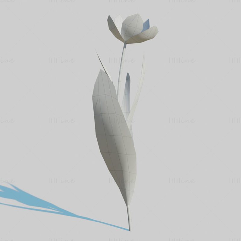 Red Tulip Plant Pack 3D Model