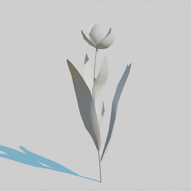 Red Tulip Plant Pack 3D Model