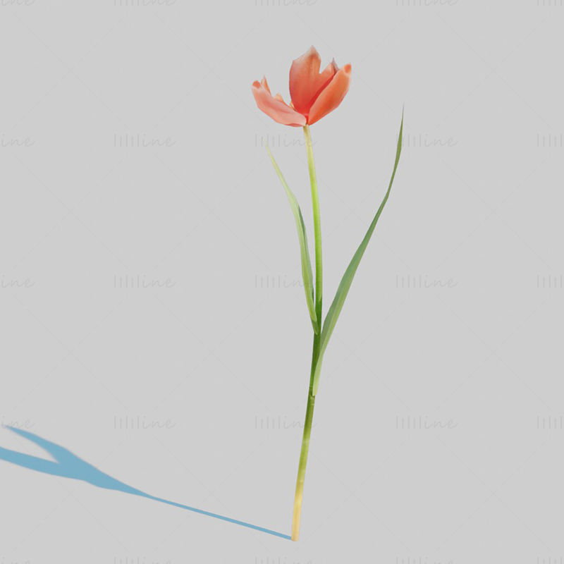 Red Tulip Plant Pack 3D Model