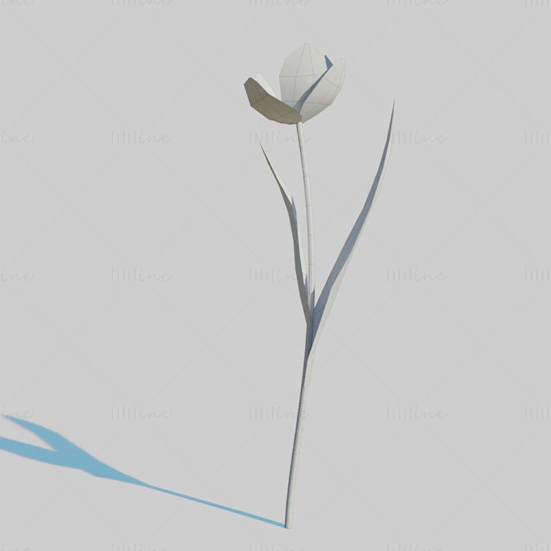 Red Tulip Plant Pack 3D Model