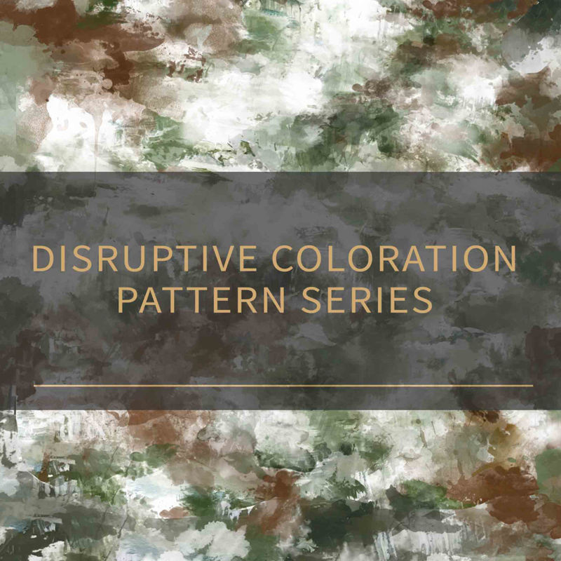 Coolest disruptive coloration pattern
