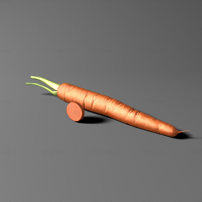 Carrots 3d model
