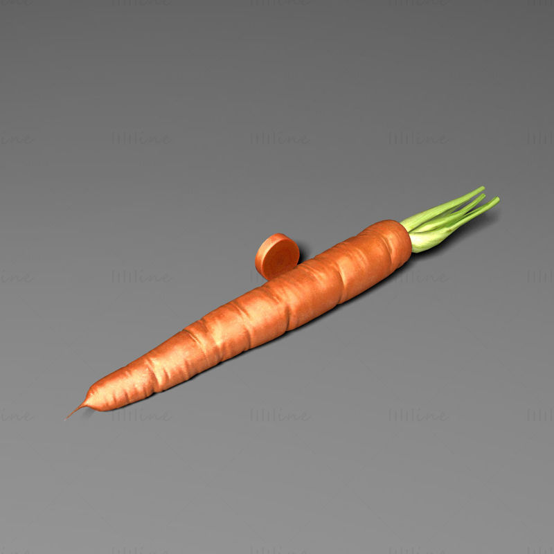 Karotten 3D-Modell
