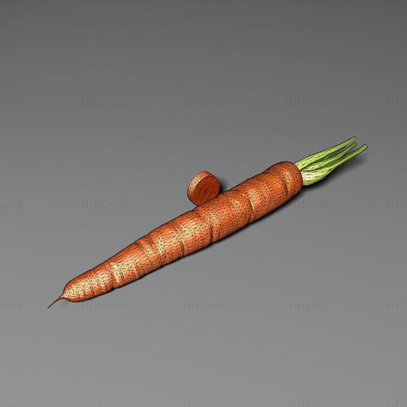 Karotten 3D-Modell