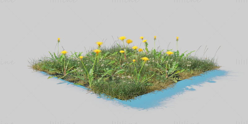 Dandelion Meadow Patch 3D Model