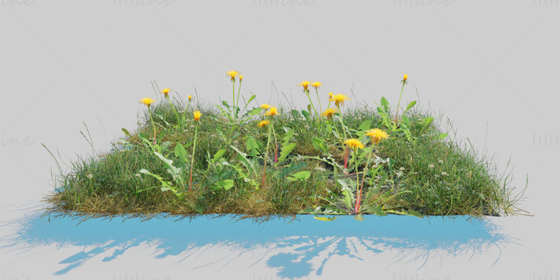 Gyermekláncfű Meadow Patch 3D modell