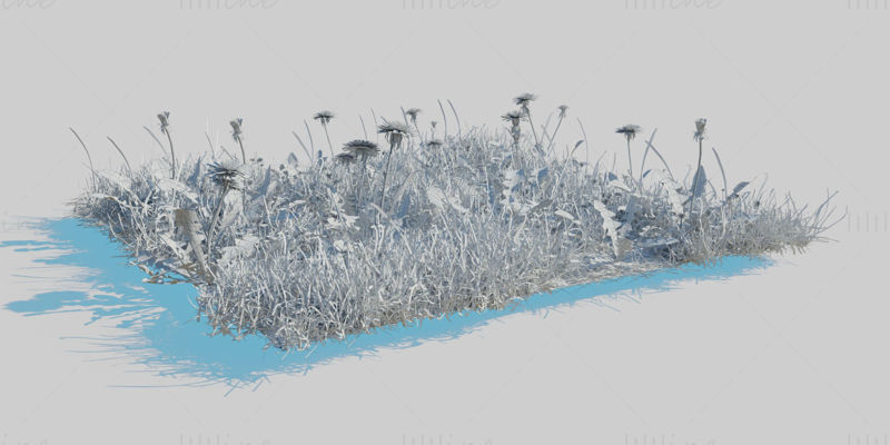 Model 3D Dandelion Meadow Patch