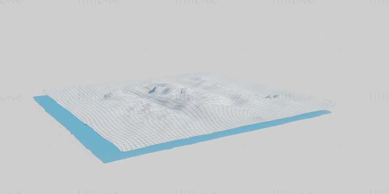 Dandelion Meadow Patch 3D Model