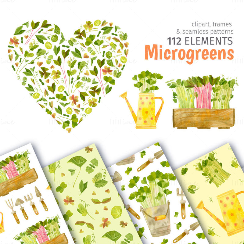 Microgreens farm akvarell clipart, varrat nélküli minták és kártyasablonok. Zöldségkert clipart – cékla, bazsalikom, koriander, borsó, oxalis, nasturtium, retek és kertészeti eszközök.