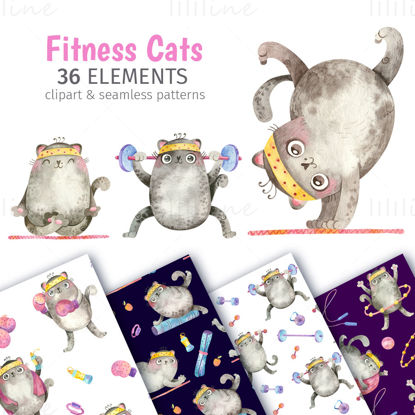 Fitness & Yoga Cats. Sports watercolor clipart and seamless patterns with cute kittens in gym. Illustrations for fabric, posters, trackers and more.