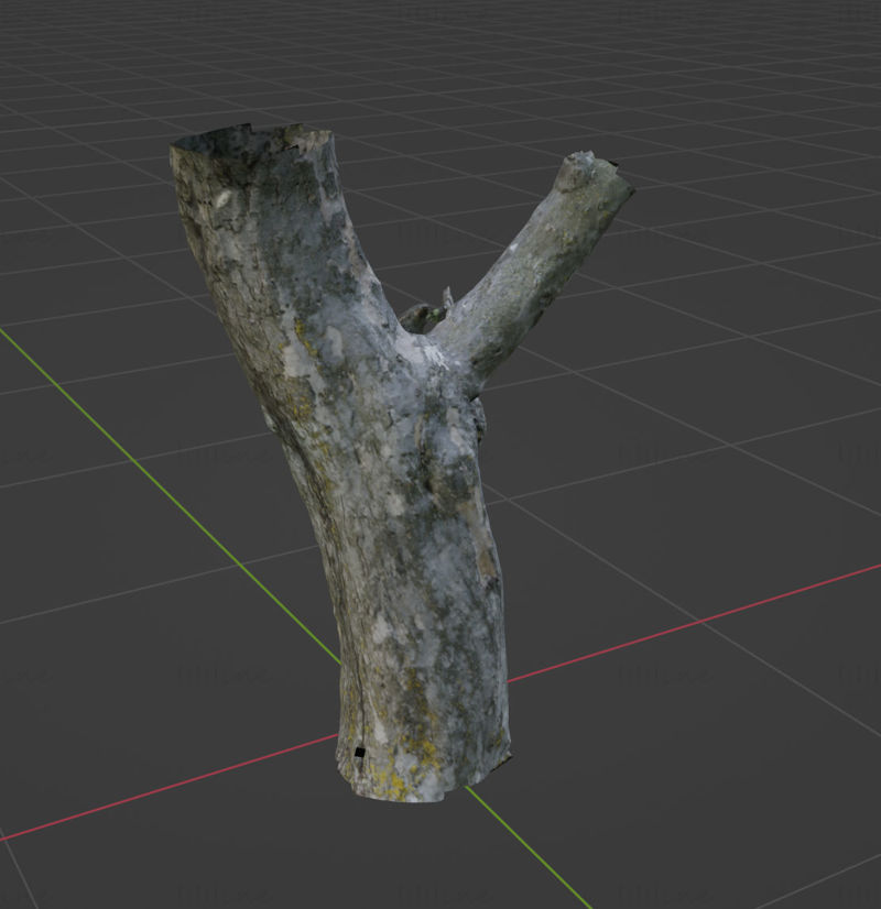 ölü ağaç kütüğü 3D model