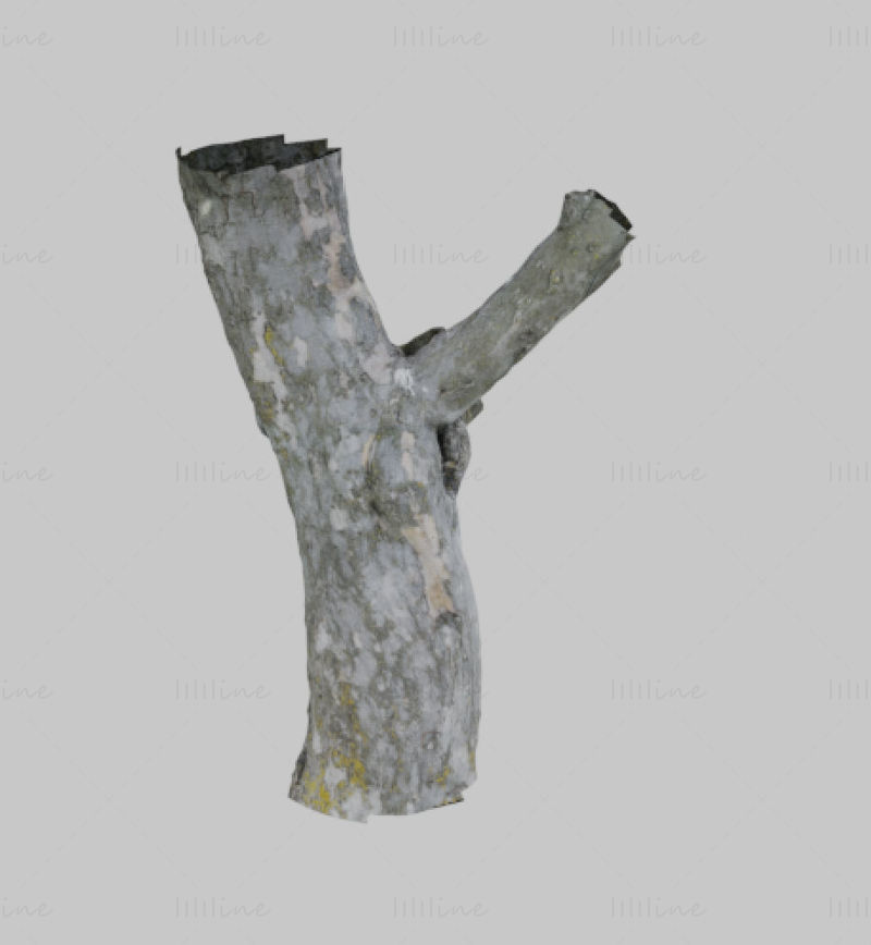 modelo 3D de tronco de árvore morta