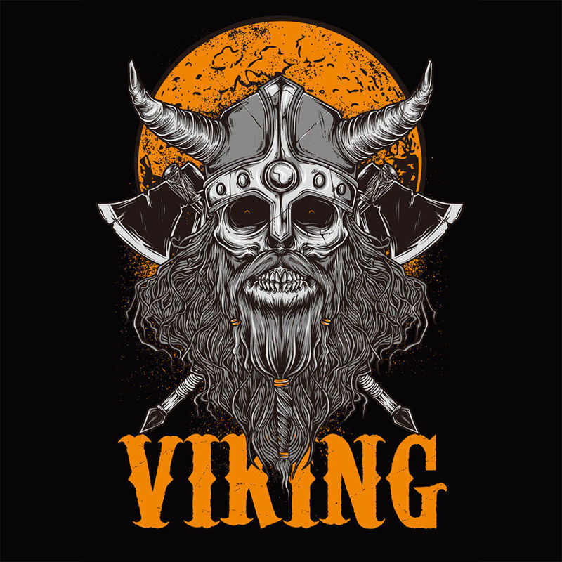 Viking vector pattern