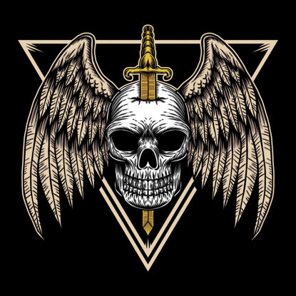 Skull with wings and sword vector