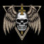 Skull with wings and sword vector