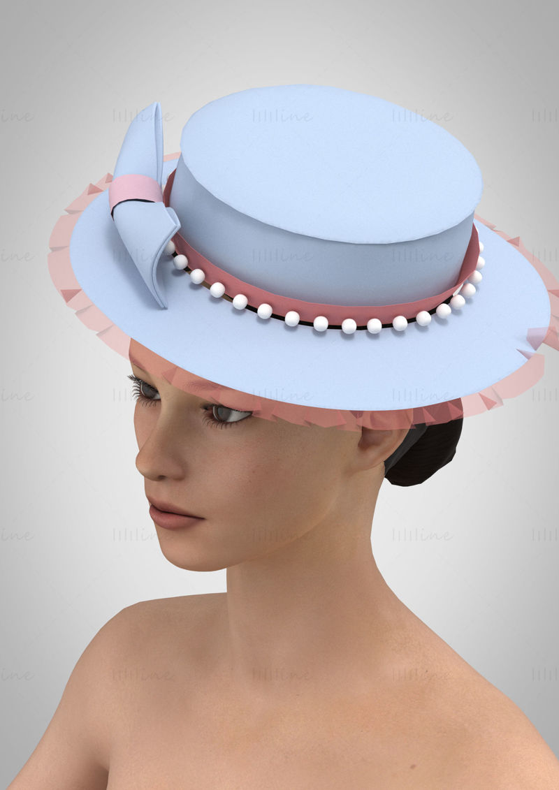 Modelo 3D de chapéu