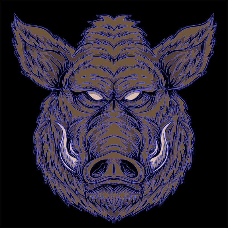 Boar head vector illustration