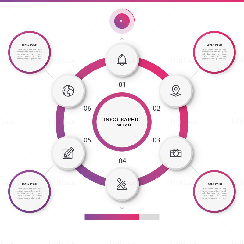 Circle infographic vector