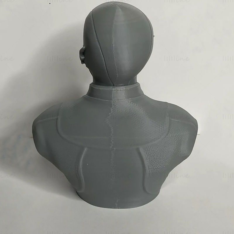 Barry Allen Flash Bust  3D Print Model