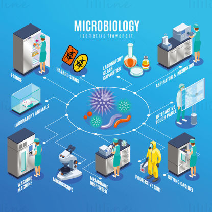 Microbiology isometric flowchart vector
