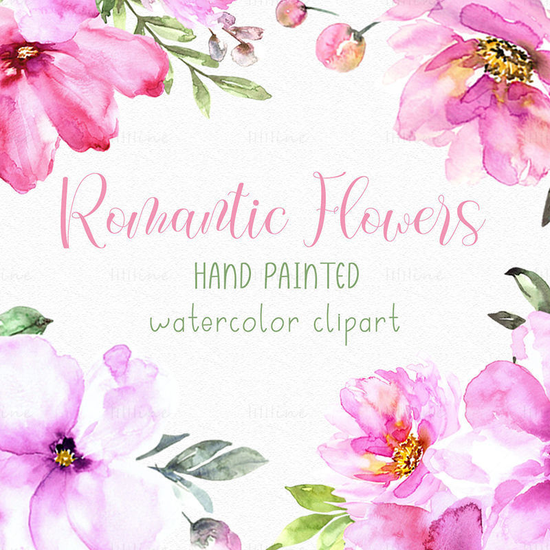 Romantic Flowers Watercolor Clipart