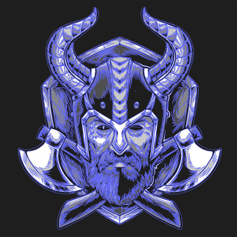 Viking badge vector