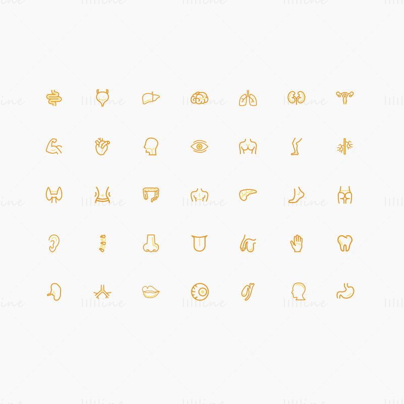 Medical human organs vector icons