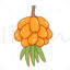 Cartoon sea buckthorn vector