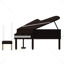 Piano vector