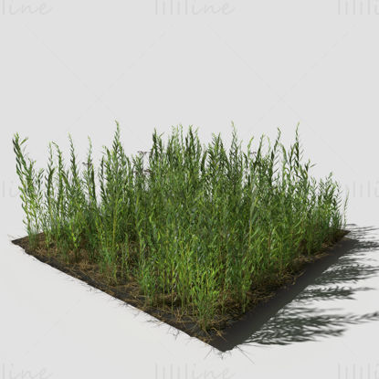 Goldenrod Meadow Patch 3D-s modell