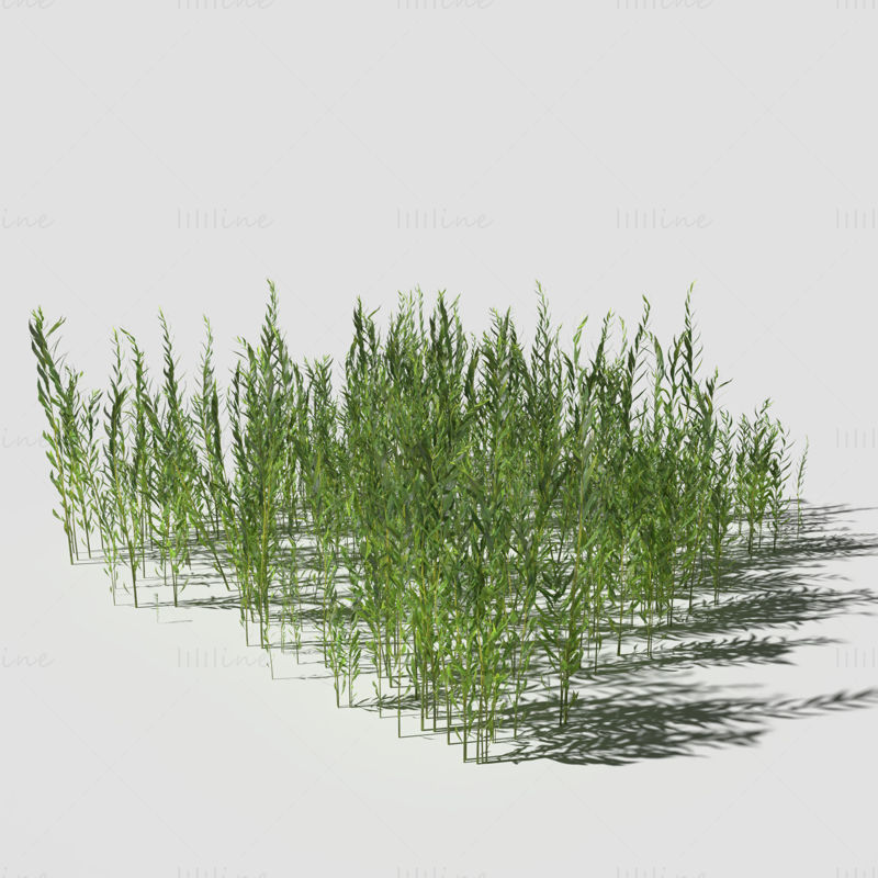 Goldenrod Meadow Patch 3D Model
