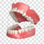 Oral tann 3D-modell