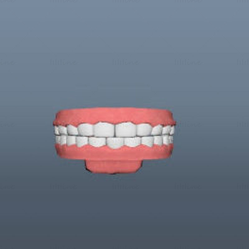 Modelo 3D de dentes